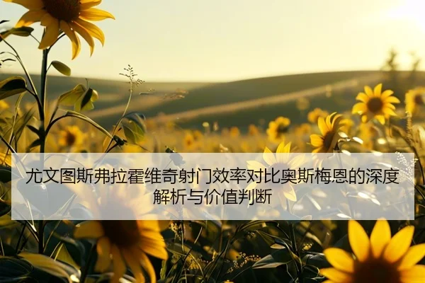 尤文图斯弗拉霍维奇射门效率对比奥斯梅恩的深度解析与价值判断